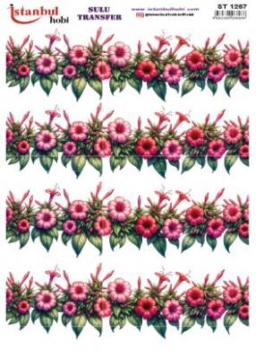 İstanbul Hobi Sulu Transfer 25x35 cm ST 1267 - 1