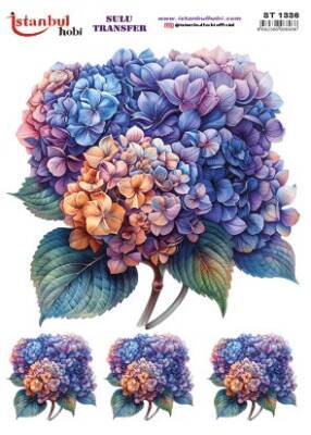 İstanbul Hobi Sulu Transfer 25x35 cm ST 1336 - 1