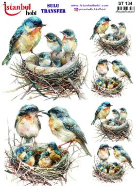 İstanbul Hobi Sulu Transfer 25x35 cm ST 134 - 1