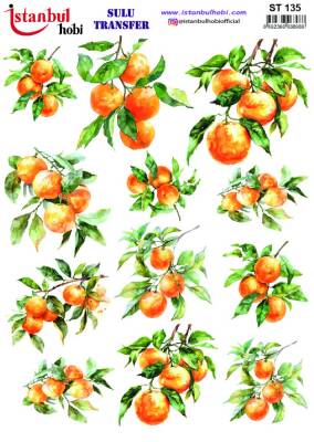 İstanbul Hobi Sulu Transfer 25x35 cm ST 135 - 1