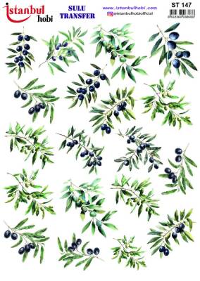 İstanbul Hobi Sulu Transfer 25x35 cm ST 147 - 1