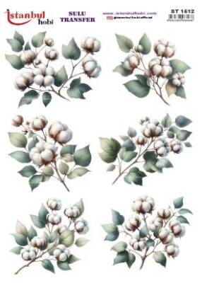 İstanbul Hobi Sulu Transfer 25x35 cm ST 1512 - 1
