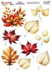 İstanbul Hobi Sulu Transfer 25x35 cm ST 1523 - 1