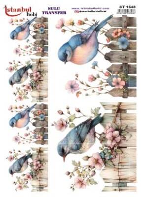 İstanbul Hobi Sulu Transfer 25x35 cm ST 1543 - 1