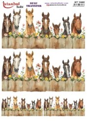 İstanbul Hobi Sulu Transfer 25x35 cm ST 1552 - 1