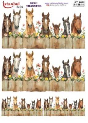 İstanbul Hobi Sulu Transfer 25x35 cm ST 1552 - 1