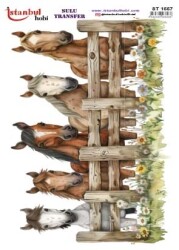 İstanbul Hobi Sulu Transfer 25x35 cm ST 1557 - 1