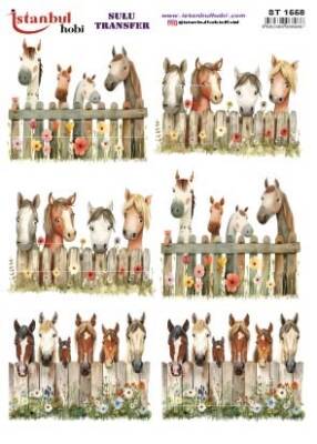 İstanbul Hobi Sulu Transfer 25x35 cm ST 1558 - 1