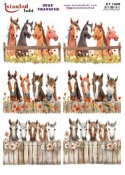 İstanbul Hobi Sulu Transfer 25x35 cm ST 1559 - 1