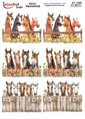 İstanbul Hobi Sulu Transfer 25x35 cm ST 1559 - 1