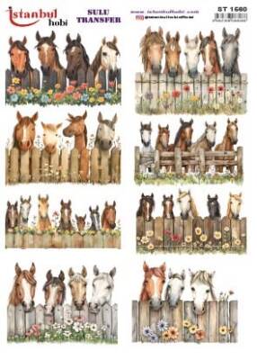 İstanbul Hobi Sulu Transfer 25x35 cm ST 1560 - 1