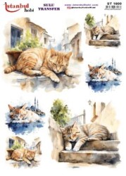 İstanbul Hobi Sulu Transfer 25x35 cm ST 1600 - 1