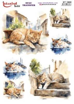 İstanbul Hobi Sulu Transfer 25x35 cm ST 1600 - 1