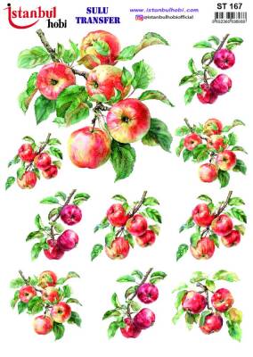 İstanbul Hobi Sulu Transfer 25x35 cm ST 167 - 1