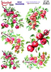 İstanbul Hobi Sulu Transfer 25x35 cm ST 168 - 1