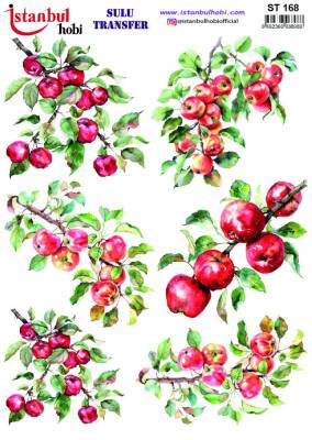 İstanbul Hobi Sulu Transfer 25x35 cm ST 168 - 1