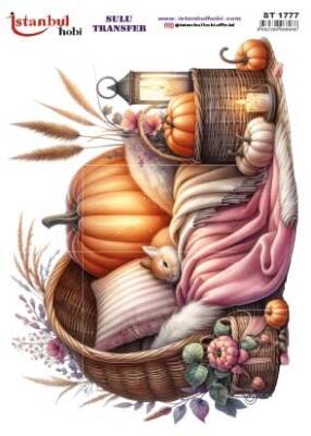 İstanbul Hobi Sulu Transfer 25x35 cm ST 1777 - 1