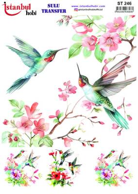 İstanbul Hobi Sulu Transfer 25x35 cm ST 246 - 1