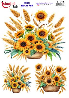 İstanbul Hobi Sulu Transfer 25x35 cm ST 314 - 1