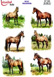 İstanbul Hobi Sulu Transfer 25x35 cm ST 366 - 1