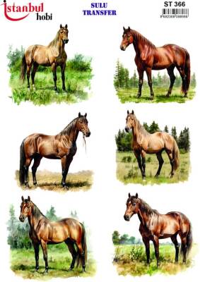 İstanbul Hobi Sulu Transfer 25x35 cm ST 366 - 1