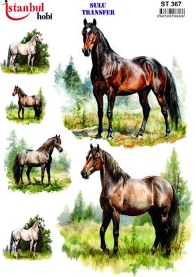 İstanbul Hobi Sulu Transfer 25x35 cm ST 367 - 1