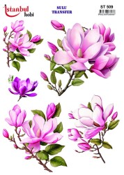 İstanbul Hobi Sulu Transfer 25x35 cm ST 509 - 1