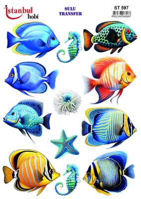 İstanbul Hobi Sulu Transfer 25x35 cm ST 597 - 1