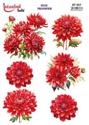 İstanbul Hobi Sulu Transfer 25x35 cm ST 657 - 1