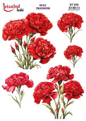 İstanbul Hobi Sulu Transfer 25x35 cm ST 659 - 1