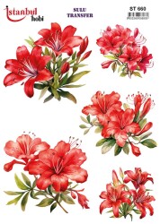 İstanbul Hobi Sulu Transfer 25x35 cm ST 660 - 1