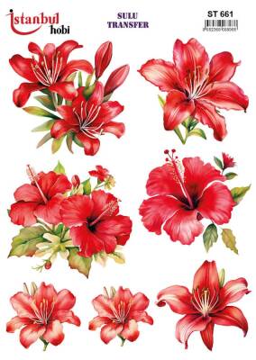 İstanbul Hobi Sulu Transfer 25x35 cm ST 661 - 1