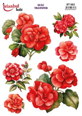 İstanbul Hobi Sulu Transfer 25x35 cm ST 662 - 1