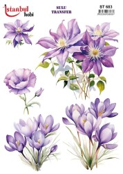 İstanbul Hobi Sulu Transfer 25x35 cm ST 683 - 1