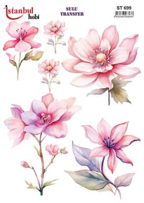 İstanbul Hobi Sulu Transfer 25x35 cm ST 699 - 1