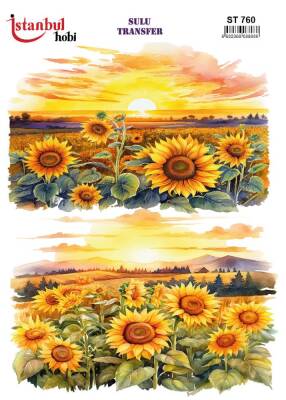 İstanbul Hobi Sulu Transfer 25x35 cm ST 760 - 1