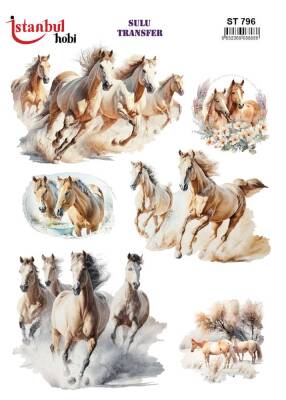 İstanbul Hobi Sulu Transfer 25x35 cm ST 796 - 1
