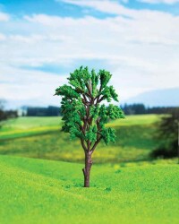 Okaliptüs Ağacı 19 cm 1 Adet - 1