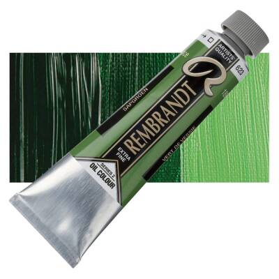 Rembrandt Yağlı Boya 40 ml. 623 Sap Green - 1