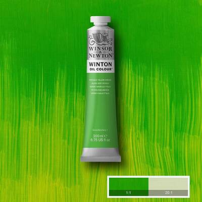 Winsor & Newton Winton Yağlı Boya 200 ml. 403 Phthalo Yellow Green - 1