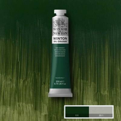 Winsor & Newton Winton Yağlı Boya 200 ml. 405 Dark Verdigris - 1