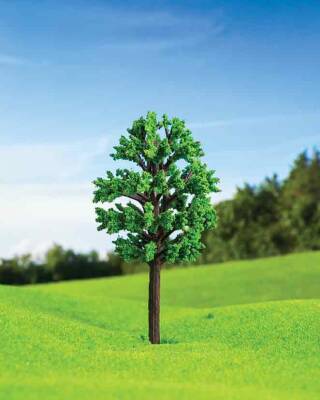 Zelkova Ağacı 13 cm 1 Adet - 1