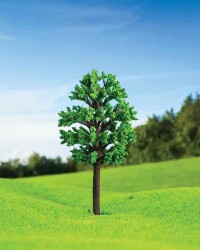 Zelkova Ağacı 6 cm 2 Adet - 1